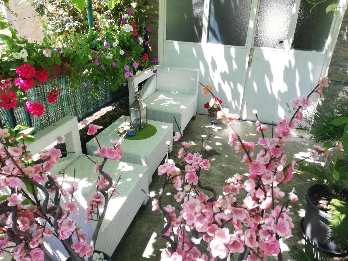 Apartman Teuta Zagreb Exteriör bild