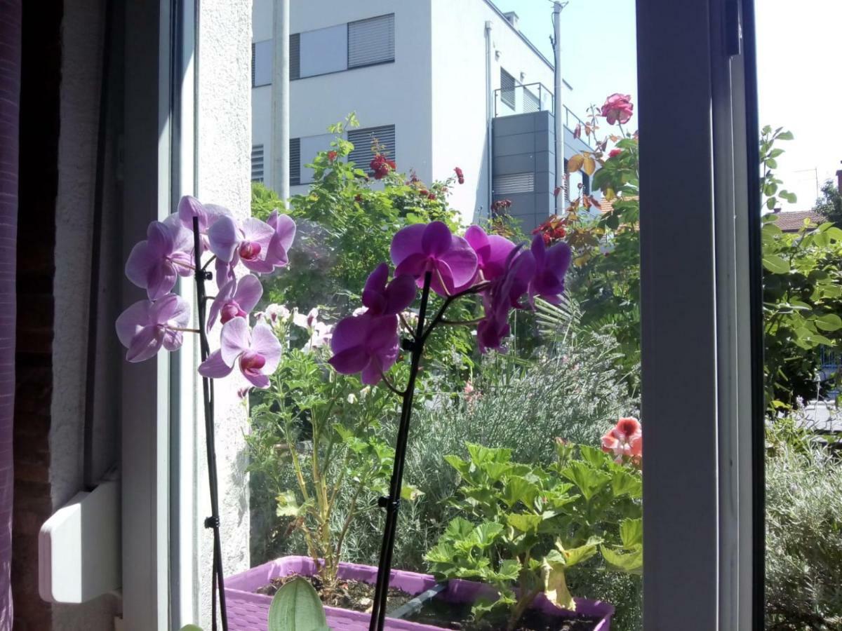 Apartman Teuta Zagreb Exteriör bild