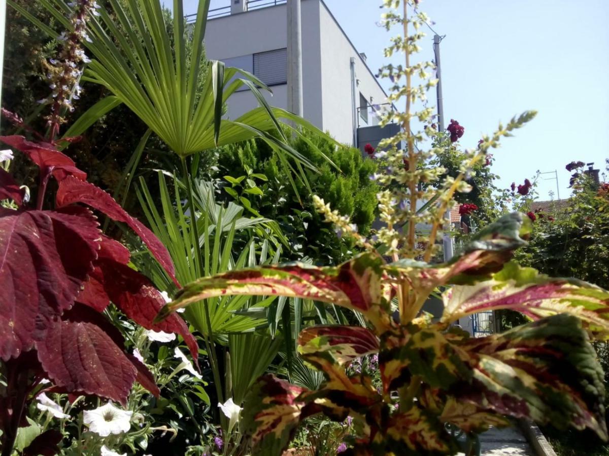 Apartman Teuta Zagreb Exteriör bild